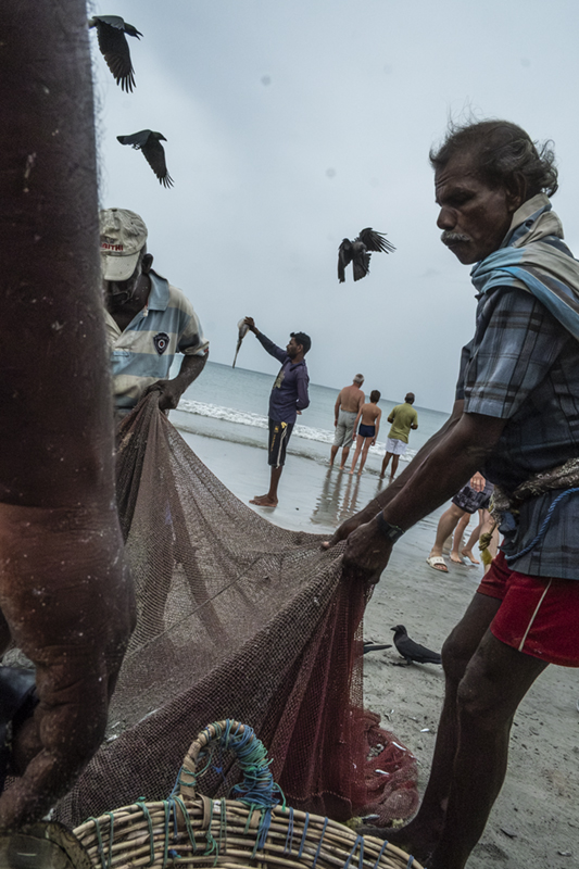 6a_Trinco_dscf7248 copy